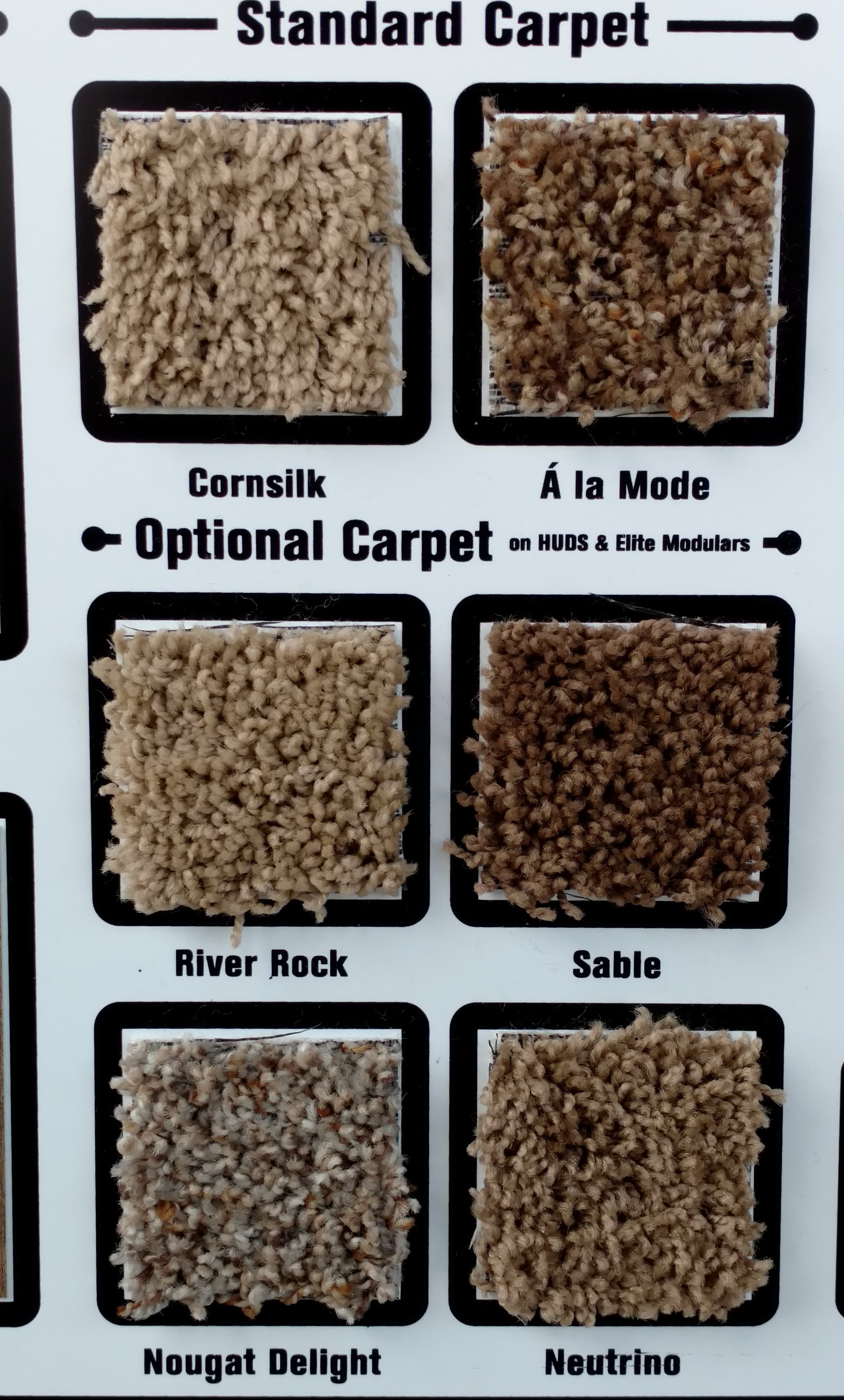 carpet options 2.jpg